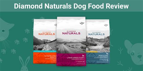 Diamond Naturals Dog Food Review 2024: Pros, Cons, Recalls & FAQ – Dogster