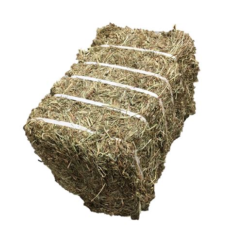 Transfeeder Compressed Hay Bales – Lone Star Tack