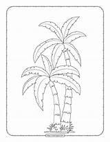 Palm Tree Coloring Sheet sketch template