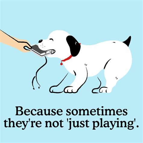 Puppy Aggression: What Should Owners Do? | Zigzag