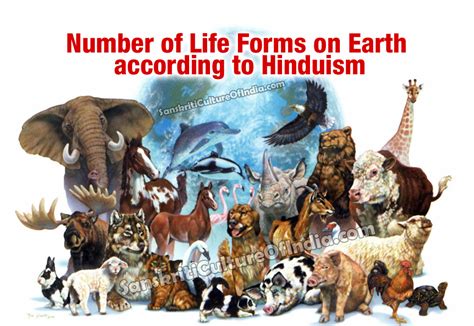 Number of Life Forms on Earth | Sanskriti - Hinduism and Indian Culture Website