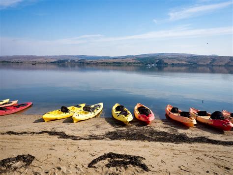 A Guide to Camping at Point Reyes National Seashore