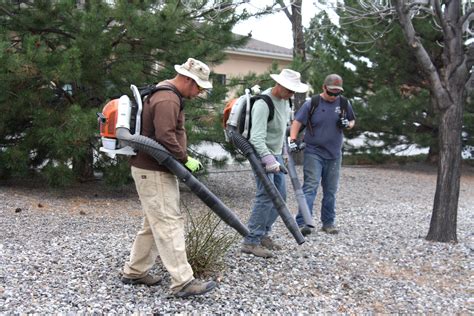 Yard Cleanup | S&E Wards Landscape Management