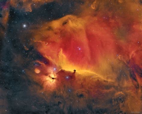 The famous Horsehead Nebula in Orion is not alone. A deep exposure shows that the dark familiar ...