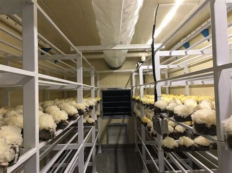 40ft Containerized Mushroom Growing Room With Climate Control Unit - Buy 40ft Containerized ...