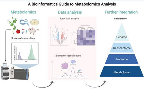 Metabolites | Free Full-Text | Guide to Metabolomics Analysis: A ...