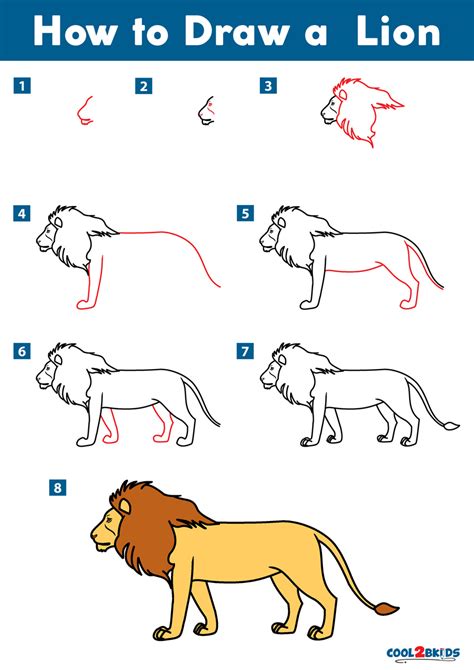 How To Draw A Lion How Answers Lion Drawing Animal Drawings | Images and Photos finder