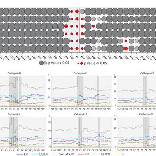 Relevant clusters of substrate specificity Each frame describes one ...