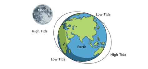 What are spring and neap tides? Teaching Wiki - Twinkl