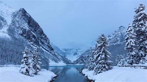 River between pine trees during winter, landscape, trees, winter HD wallpaper | Wallpaper Flare