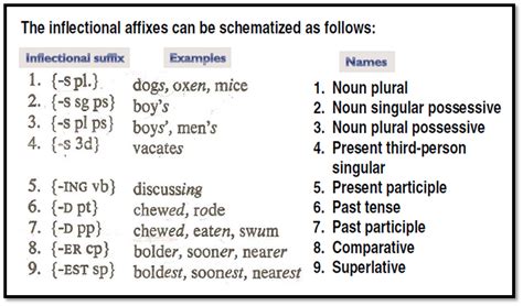 Dr. Shadia Y. Banjar: LANE 333 - Morphemes