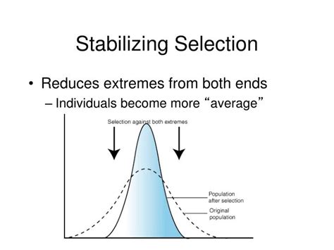 PPT - Chapter 15 - Populations PowerPoint Presentation - ID:5349233