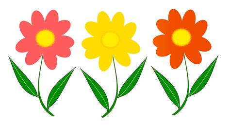 flower clipart png hd - Give Me Pleasure Vodcast Frame Store
