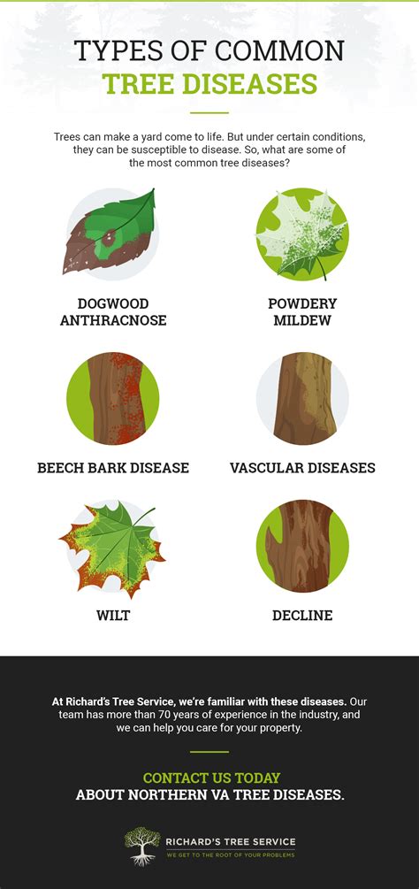 Common Tree Diseases | What to do with a Diseased Tree