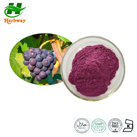 Herbway Kosher Halal Fssc HACCP Certified Botanical Extract Proanthocyanidins Grape Skin Extract ...