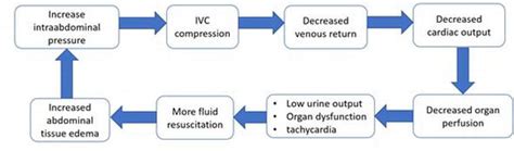 Abdominal Compartment Syndrome | IntechOpen