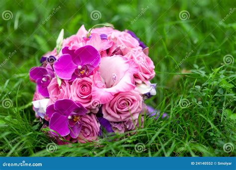 Bridal bouquet in a grass stock photo. Image of decor - 24140552