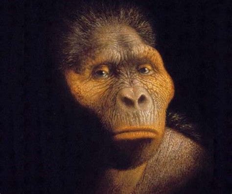 Paranthropus boisei Prehistoric Period, Prehistoric Man, Prehistoric ...