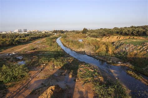 Pollution clean-up aims to create Gaza's first nature reserve | The Times of Israel