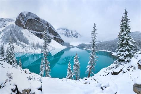 Calgary in Winter: 10 Festive and Cozy Things to Do (+ Tips!) | Canada lakes, Lake louise ski ...