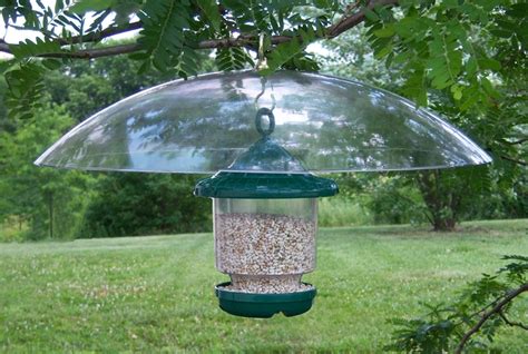 Clingers Only Bird Feeder with 20" Hanging Squirrel Baffle