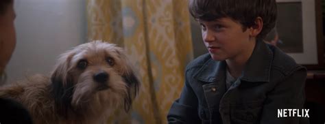 Every glorious moment Benji appears in Netflix's new 'Benji' trailer