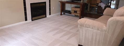 Stanley Steemer - Advanced Degree Carpet Clean