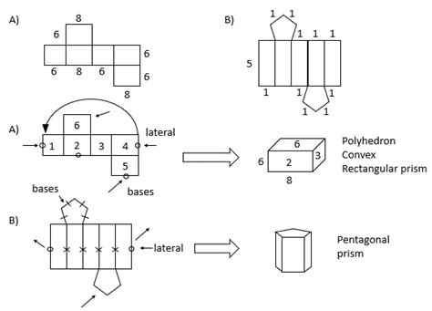 Polyhedron Nets