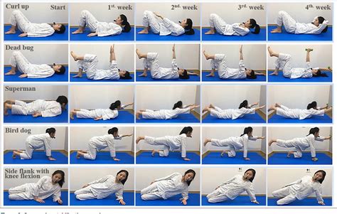 Figure 1 from Effects of a Progressive Stabilization Exercise Program ...