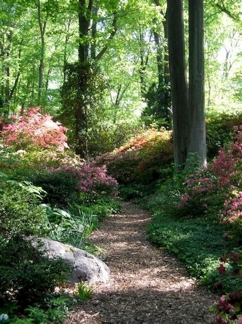 Elonahome.com - Home Design and Inspiration | Woodland garden design, Woodland garden, Beautiful ...