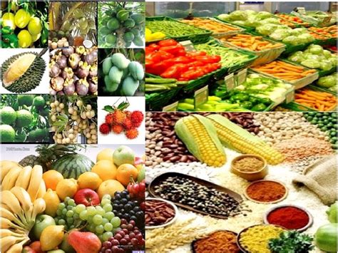 Nigeria Earns N212.73bn from Agricultural Exports