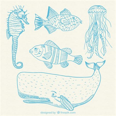 Sea Animals Drawing at GetDrawings | Free download