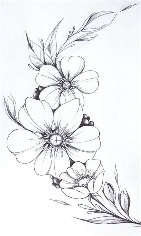 Pin by Cintia Miranda on Flores | Beautiful flower drawings, Flower line drawings, Flower sketches