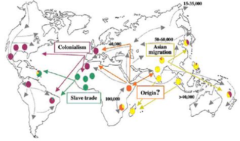 Eastern Mediterranean | Area | Geographical Region | International Leprosy Association - History ...