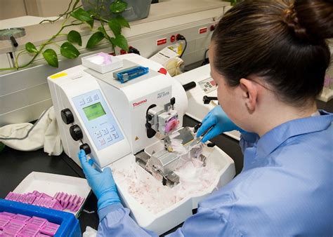 Pathology lab processes tissue