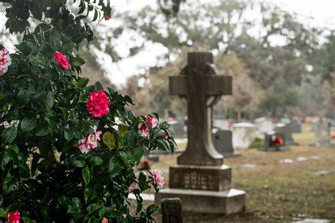 Bonaventure Cemetery on Behance