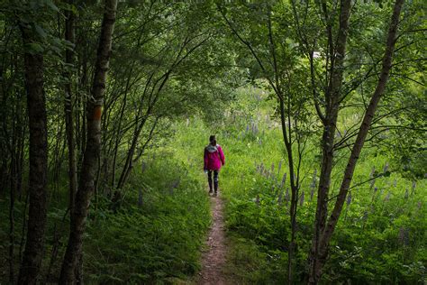 9 vandringstips — Reseblogg för nyfikna