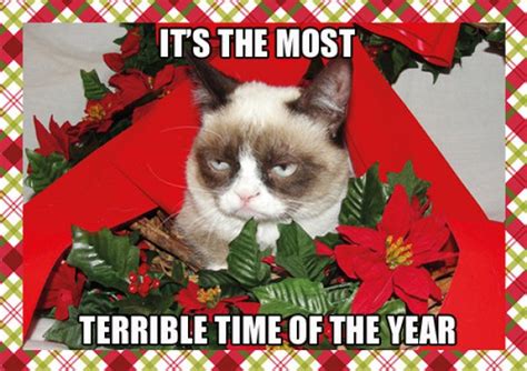 Grumpy Cat Christmas | Funny Collection World