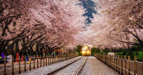 11 Must-See Beautiful Destinations In Korea