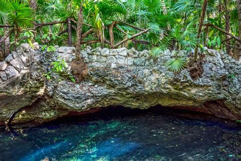 10 Must-See Mayan Riviera Cenotes Near Playa del Carmen and Tulum