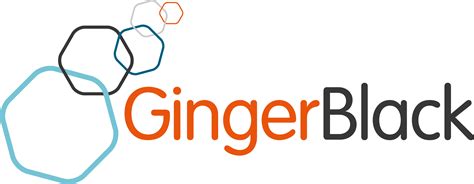 Contact Us | Ginger Black | Data Scientists & Management Consultant