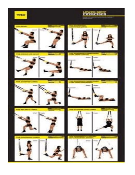 trx exercises