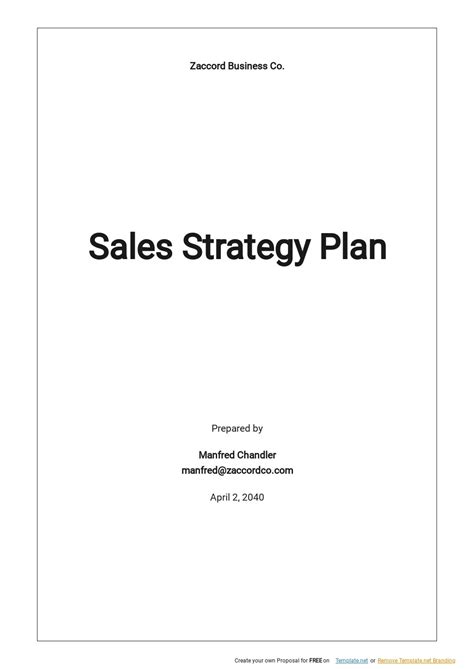 Sales Strategy Plan Template - Google Docs, Word, Apple Pages ...