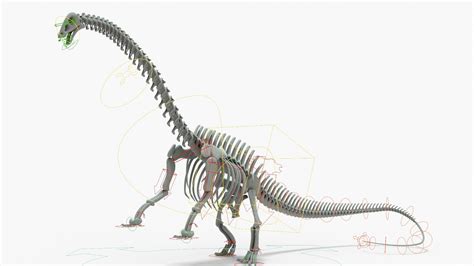 Brontosaurus Rigged Skeleton 3D model - TurboSquid 2122328