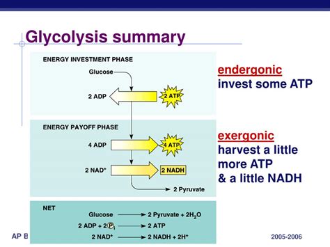 PPT - Chapter 9. Cellular Respiration STAGE 1: Glycolysis PowerPoint Presentation - ID:4585277