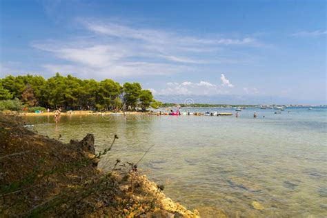 Beach of Vir Island in Croatia in Summer Editorial Image - Image of ...