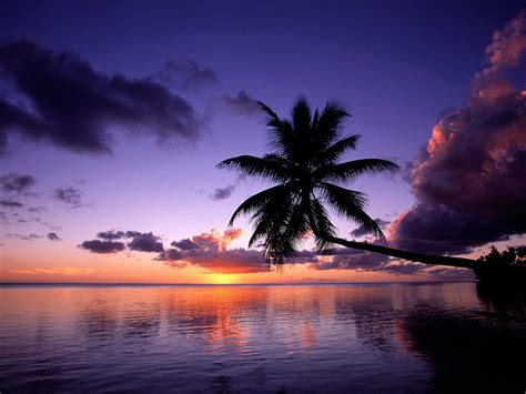 Moorea Wallpapers - Top Free Moorea Backgrounds - WallpaperAccess