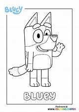 Bluey And Bingo Coloring Pages Printable  printable sketch template