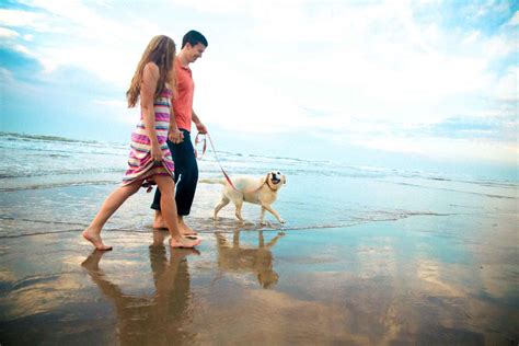 Dog Friendly Beaches in Corpus Christi | Pet-Friendly Parks