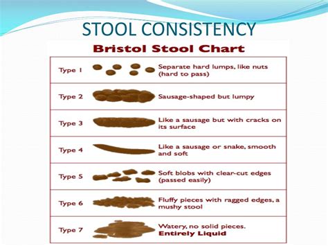 PPT - STOOL EXAMINATION PowerPoint Presentation, free download - ID:2300259